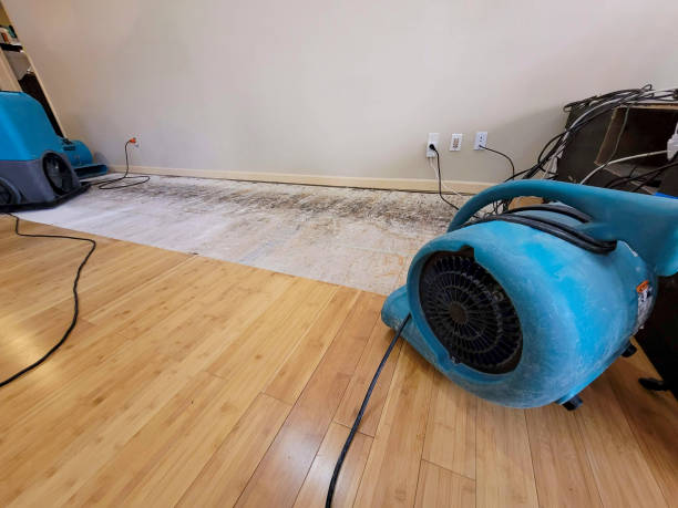 Professional Flood Damage Cleanup technician working in Norwood, OK